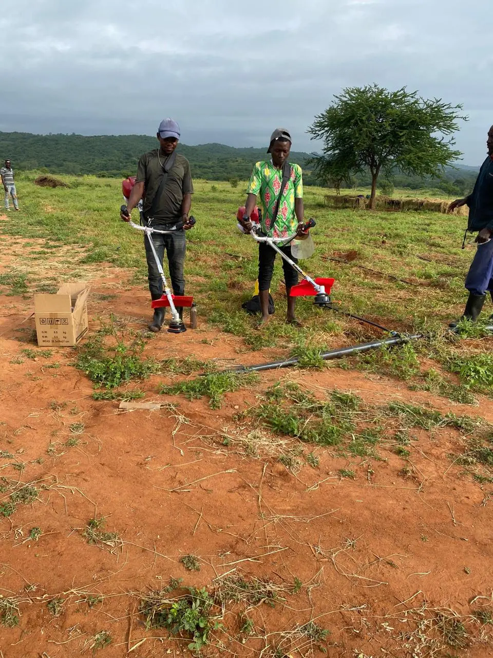 50-Acre Agricultural Haven in Ishiara, Embu – Perfect for Large-Scale Farming